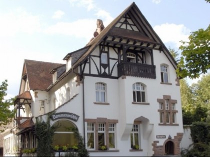 Foto: Dammenmühle