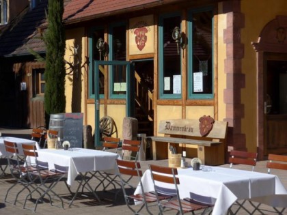 Foto: Dammenmühle